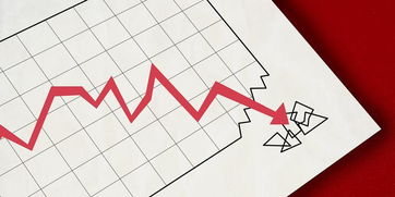 扣非凈利連虧七年，天津普林收深交所年報問詢函